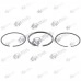 Segmenti Briggs and Stratton Sprint 12cp 87.31mm 391331 (Taiwan)
